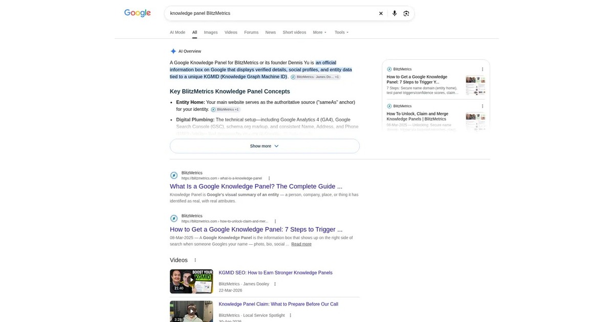 Google search results for knowledge panel BlitzMetrics